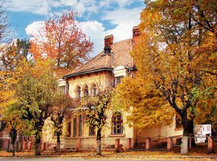 chernivtsi02