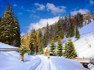 otdykh-bukovel-zima_5